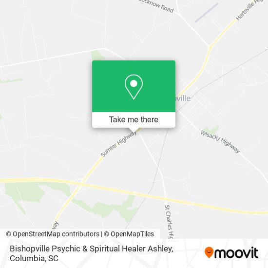 Bishopville Psychic & Spiritual Healer Ashley map