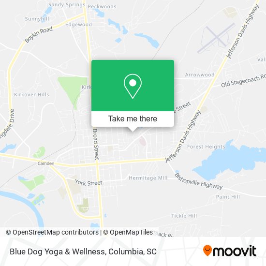Blue Dog Yoga & Wellness map