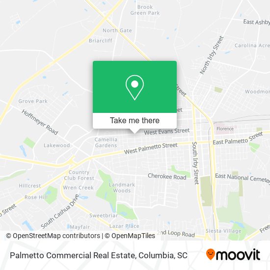 Palmetto Commercial Real Estate map