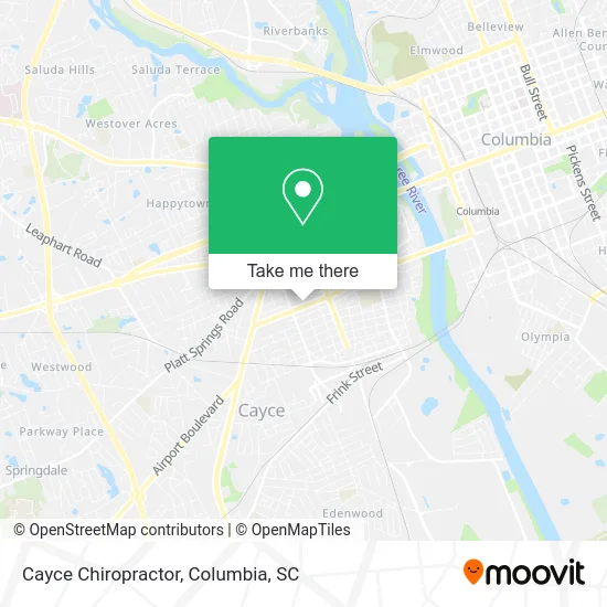 Cayce Chiropractor map