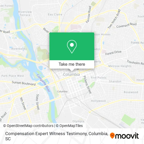 Compensation Expert Witness Testimony map