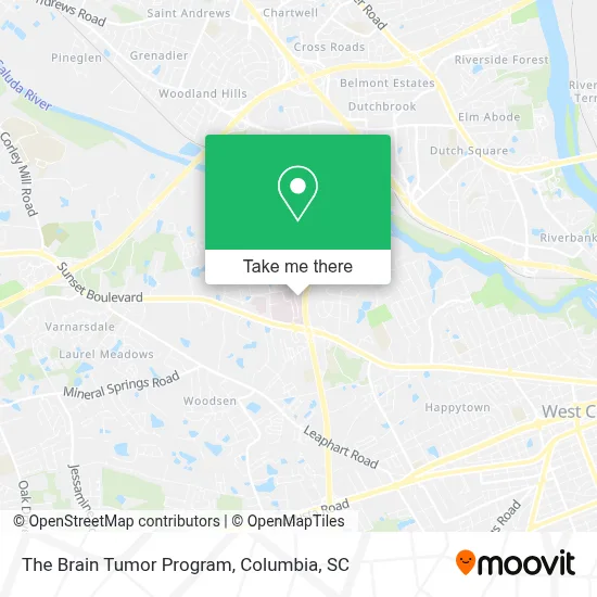 The Brain Tumor Program map