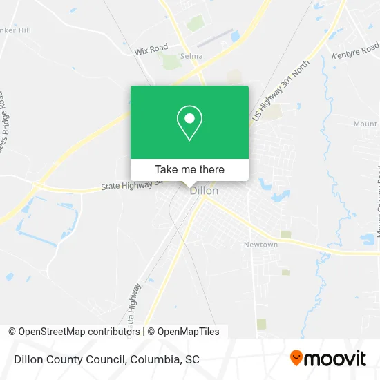 Dillon County Council map
