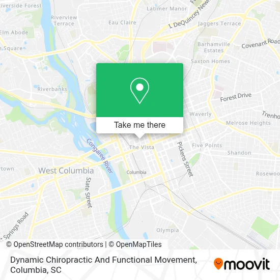 Dynamic Chiropractic And Functional Movement map