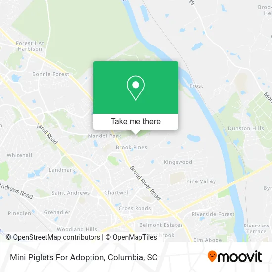 Mini Piglets For Adoption map