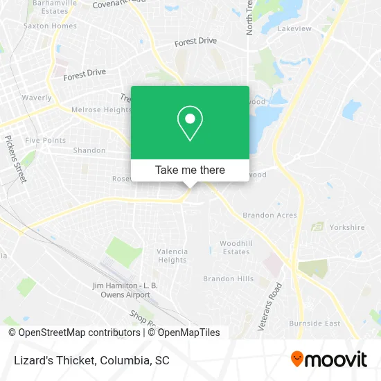 Lizard's Thicket map
