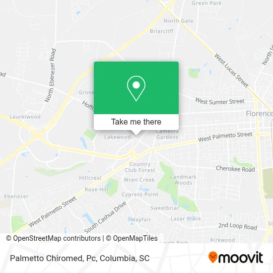 Palmetto Chiromed, Pc map