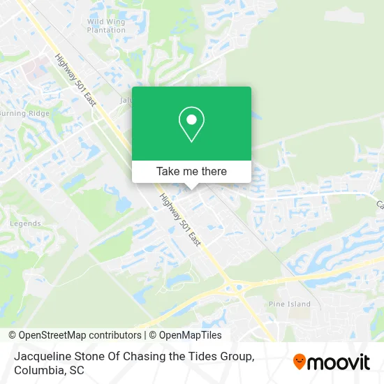 Jacqueline Stone Of Chasing the Tides Group map