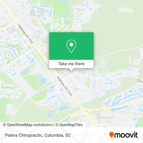 Palms Chiropractic map