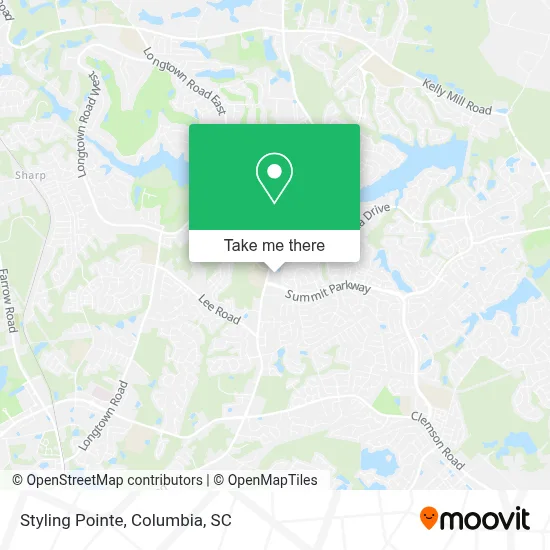 Styling Pointe map