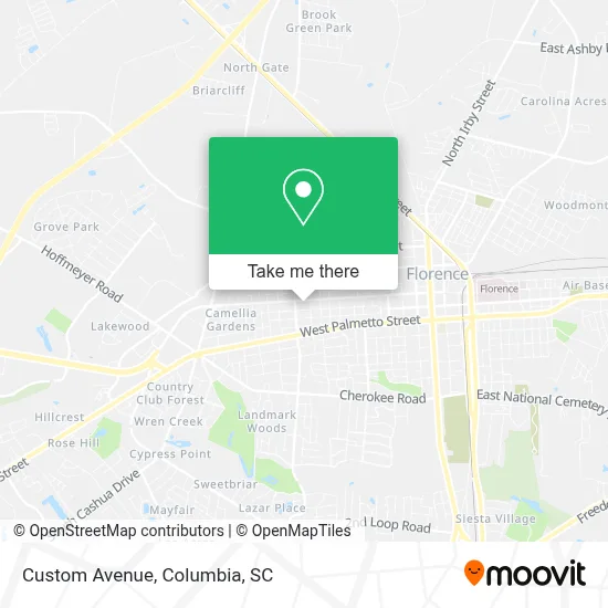 Custom Avenue map