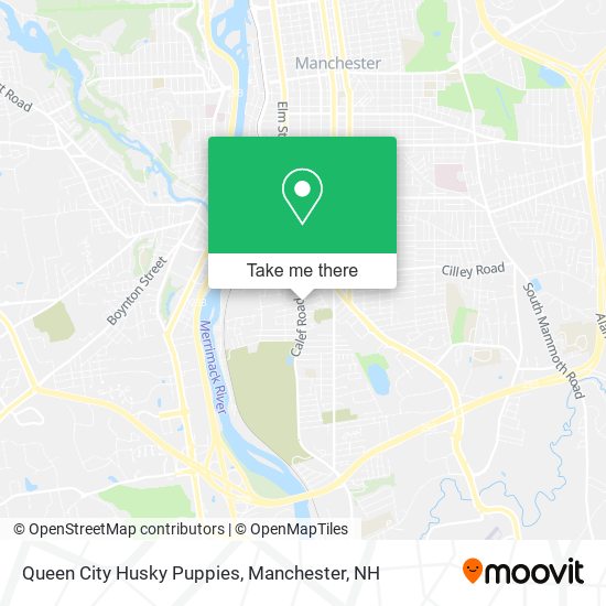 Queen City Husky Puppies map