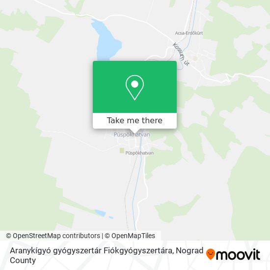 Aranykígyó gyógyszertár Fiókgyógyszertára map