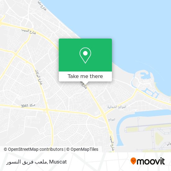 ملعب فريق النسور map