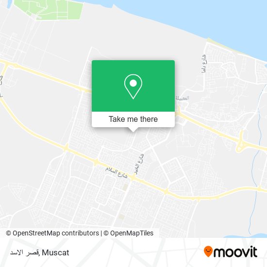 قصر الاسد map