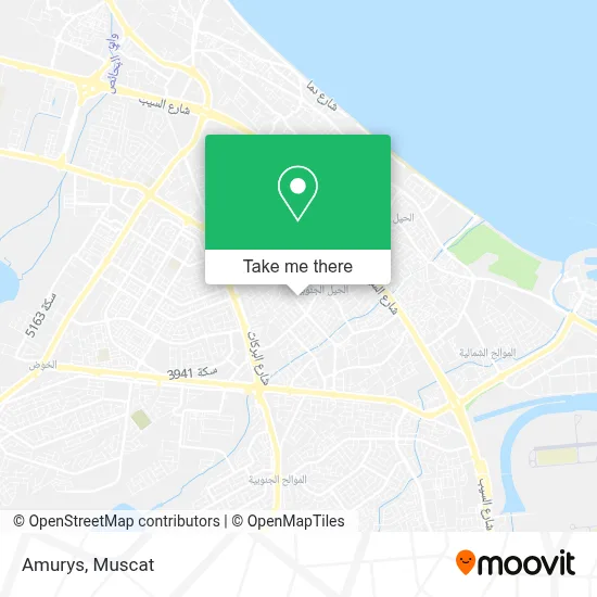 Amurys map