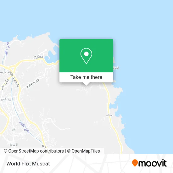 World Flix map