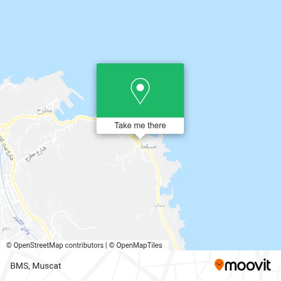 BMS map