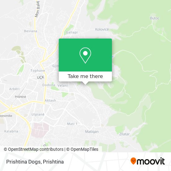 Prishtina Dogs map