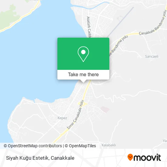 Siyah Kuğu Estetik map