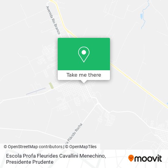 Escola Profa Fleurides Cavallini Menechino map