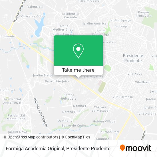 Formiga Academia Original map