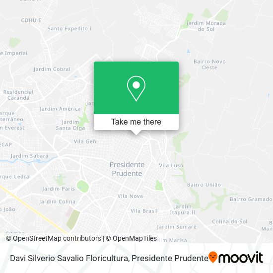 Davi Silverio Savalio Floricultura map