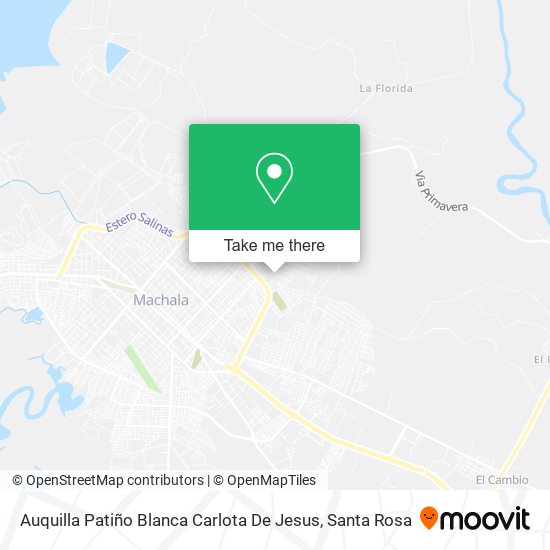 Auquilla Patiño Blanca Carlota De Jesus map