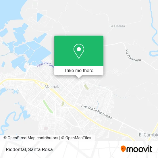 Ricdental map