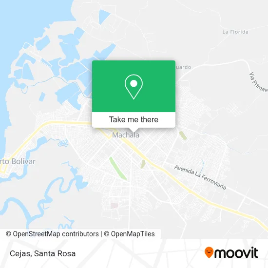 Cejas map