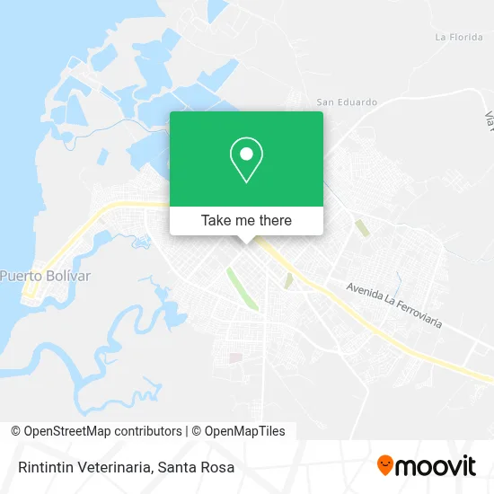 Rintintin Veterinaria map