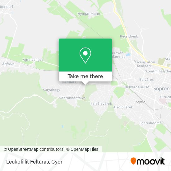 Leukofillit Feltárás map