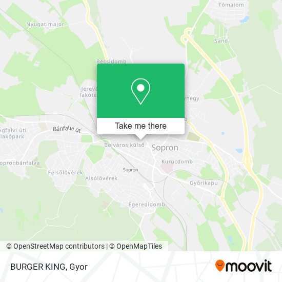 BURGER KING map