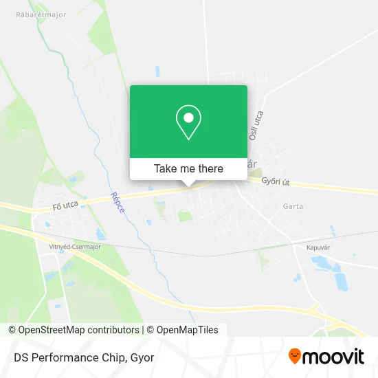 DS Performance Chip map