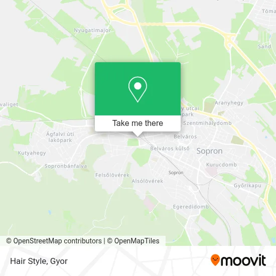 Hair Style map