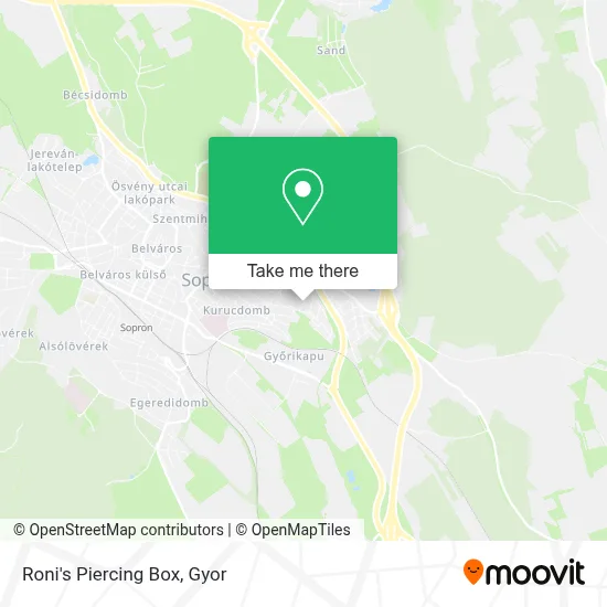 Roni's Piercing Box map