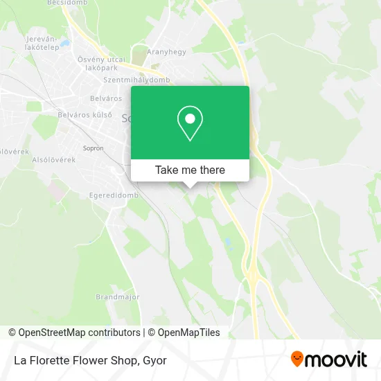 La Florette Flower Shop map