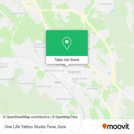 One Life Tattoo Studio Tone map