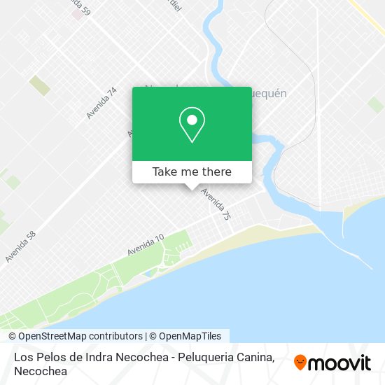 Los Pelos de Indra Necochea - Peluqueria Canina map