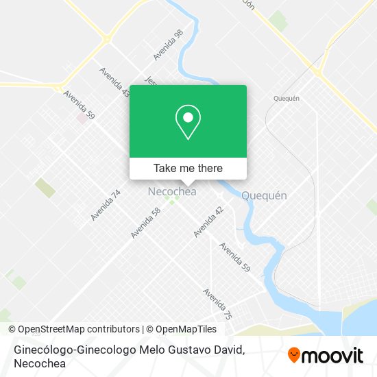 Ginecólogo-Ginecologo Melo Gustavo David map