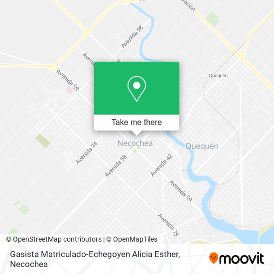 Gasista Matriculado-Echegoyen Alicia Esther map