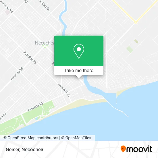 Geiser map