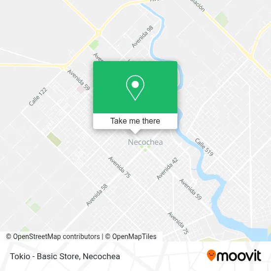 Tokio - Basic Store map