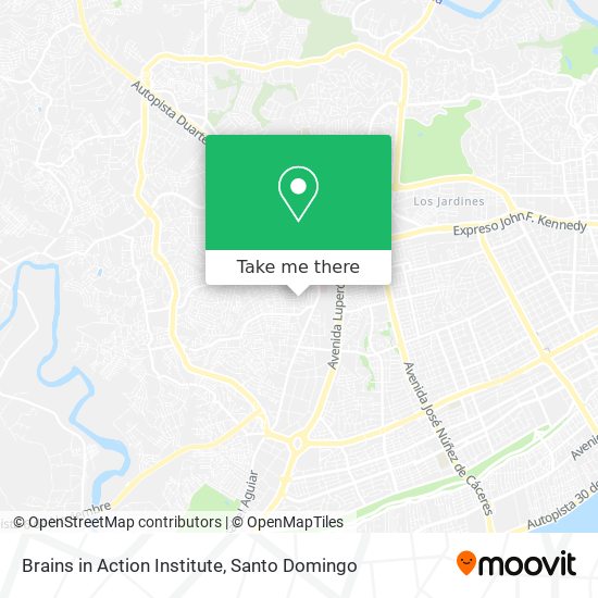 Mapa de Brains in Action Institute