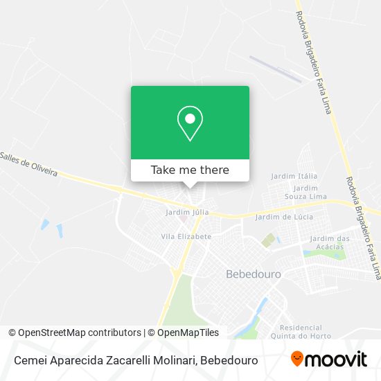 Cemei Aparecida Zacarelli Molinari map