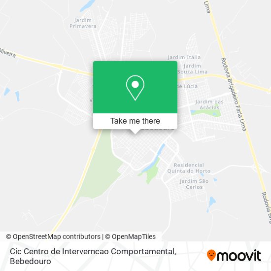 Cic Centro de Interverncao Comportamental map