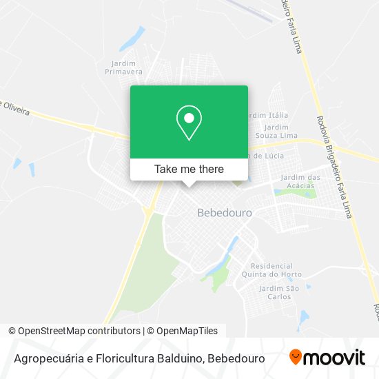 Agropecuária e Floricultura Balduino map