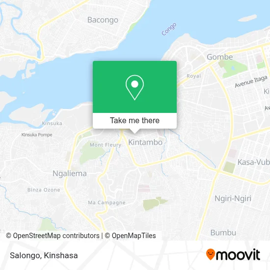 Salongo map