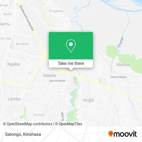 Salongo map