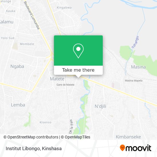 Institut Libongo map
